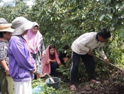 HRNS Adakan Sharing Ilmu Bertani dari Pelatihan Kopi