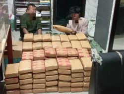 Ditresnarkoba Poldasu Tangkap Tiga Pembawa 135 kilogram Ganja