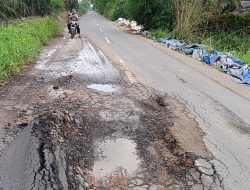 Jalan Desa Cempedak Lobang Rusak Parah, “Ambil Korban”