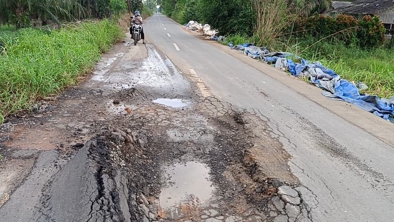 Jalan Desa Cempedak Lobang.