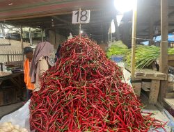 Harga Cabai Merah Anjlok  Rp 15 Ribu, Bawang Merah Meroket