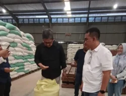 Bulog Siap Serap Gabah dan Jagung Hasil Panen Petani