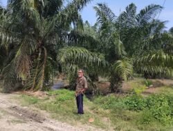 Tim GTRA Sumut : Masalah Sengketa Lahan Eks HGU PT DMK Tahun 2026 Akan Ditindaklanjuti Lagi