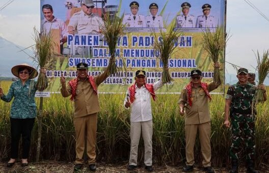 Wakil Gubernur Sumatera Utara (Sumut) Surya bersama Bupati Karo Antonius Ginting di dampingi sejumlah OPD melakukan panen raya padi, model penguatan ketahan pangan melalui pemulihan irigasi di Desa Lau Mulgap, Kecamatan Mardingding, Kabupaten Karo, Selasa (20/01/2026).