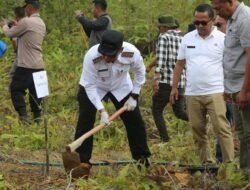 Pemulihan Pasca Bencana, Bupati Taput Canangkan Tanam Sejuta Durian