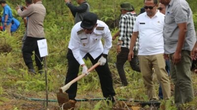 Pemulihan lahan pasca bencana,Bupati Taput canangkan penanaman sejuta durian.