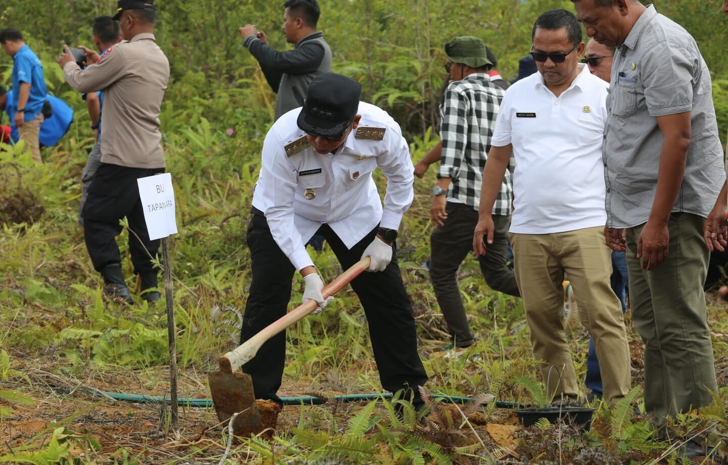 Pemulihan lahan pasca bencana,Bupati Taput canangkan penanaman sejuta durian.