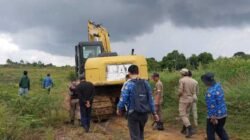 Sekda Taput Henry Sitompul meninjau kawasan Pertanian Terpadu di Desa Silait-lait Kecamatan Siborongborong dalam rangka percepatan optimalisasi.