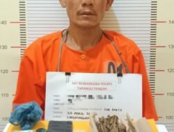 Polres Tapteng Ringkus Pengedar Narkoba di Lubuk Tukko Pandan