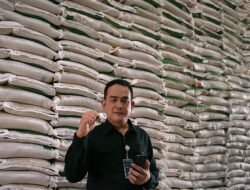 Stok Beras Bulog Sumut Melimpah, Capai Angka Tertinggi