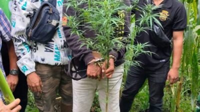 Pelaku yang diamankan petugas kepolisian.