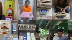 Polisi mengungkap kasus narkotika.