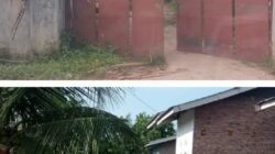 Arena Judi Sabung Ayam Pasar 5 Kebun Kelapa Pindah Lokasi, Polisi Tutup Mata